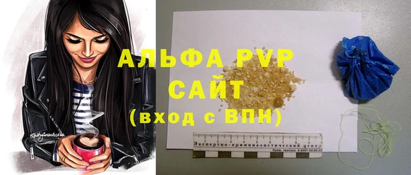 гидра Богданович