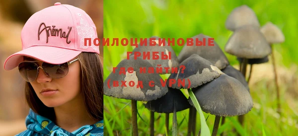 гидра Богданович