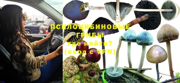 мдма Богородицк