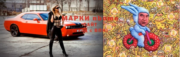 гашик Богородск