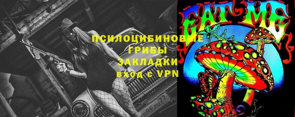 гашик Богородск