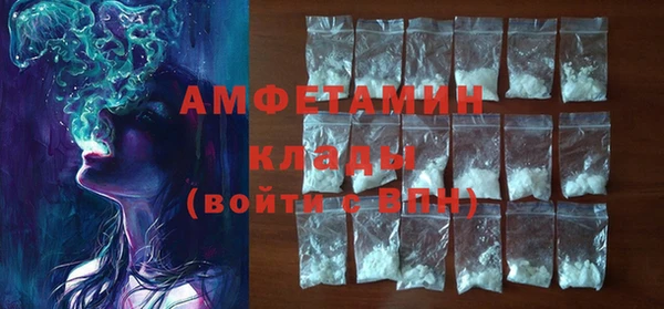 гидра Богданович