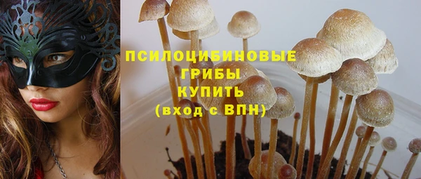 гашик Богородск