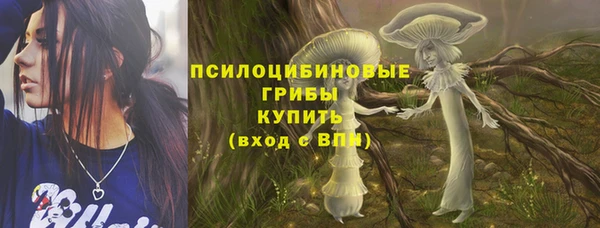 гашик Богородск
