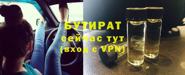 гидра Богданович